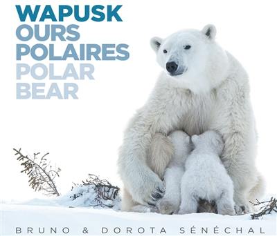 Wapusk : ours polaires. Wapusk : polar bear