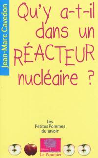 Qu'y a-t-il dans un réacteur nucléaire ?