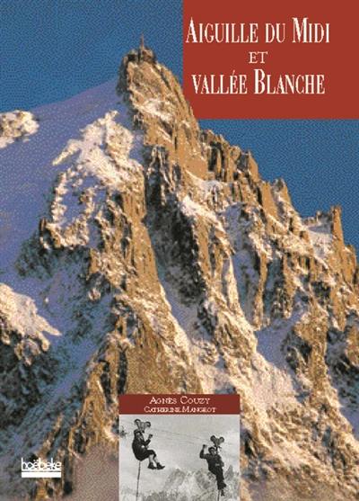 Aiguille du Midi et vallée Blanche