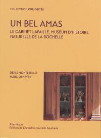 Un bel amas : le cabinet Lafaille, Muséum d'histoire naturelle de La Rochelle