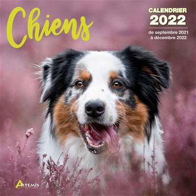 Chiens : calendrier 2022 : de septembre 2021 à décembre 2022