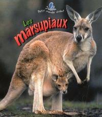 Les marsupiaux