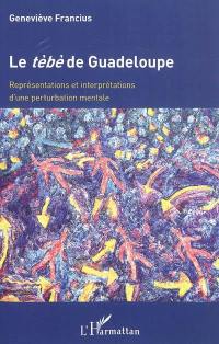 Le tèbè de Guadeloupe : représentations et interprétations d'une perturbation mentale