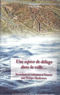 Une espèce de déluge dans la ville... : inondations urbaines à Namur aux temps modernes