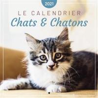 Chats & chatons : le calendrier 2021