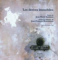 Les dérives immobiles : autour de tableaux de Jean-François Bourasseau