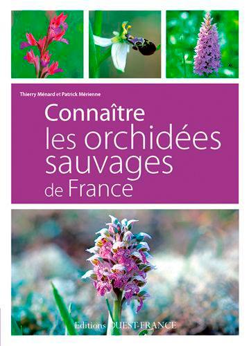 Connaître les orchidées sauvages de France : 95 espèces d'orchidées sauvages de France