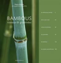 Bambous, roseaux & graminées