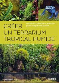Créer un terrarium tropical humide : installation, plantation, entretien, guide complet des plantes