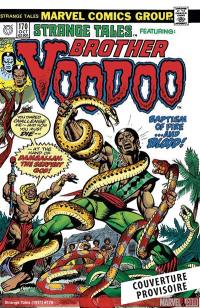 Brother Voodoo : l'intégrale. Vol. 1. 1973-1990