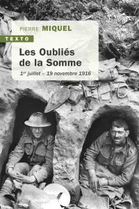 Les oubliés de la Somme : 1er juillet-19 novembre 1916