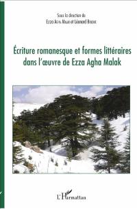 Ecriture romanesque et formes littéraires dans l'oeuvre de Ezza Agha Malak
