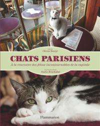 Chats parisiens : à la rencontre des félins incontournables de la capitale