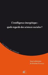L'intelligence énergétique : quels regards des sciences sociales ?