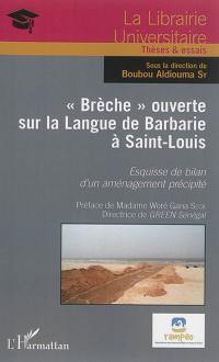 Brèche ouverte sur la Langue de Barbarie à Saint-Louis : esquisse de bilan d'un aménagement précipité