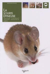 La souris épineuse : morphologie, comportement, alimentation, reproduction et hygiène...