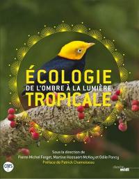 Ecologie tropicale : de l'ombre à la lumière