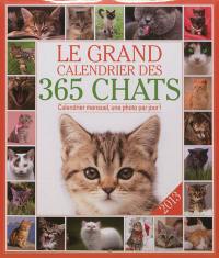 Le grand calendrier des 365 chats 2013 : calendrier mensuel, une photo par jour !