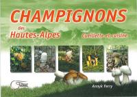Champignons des Hautes-Alpes : cueillette et cuisine