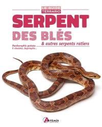 Serpent des blés & autres serpents ratiers : Pantherophis guttata, P. obsoletus, Bogertophis...