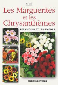 Les marguerites et les chrysanthèmes