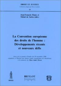La Convention européenne des droits de l'homme : développements récents et nouveaux défis : actes de la journée d'études du 30 novembre 1996