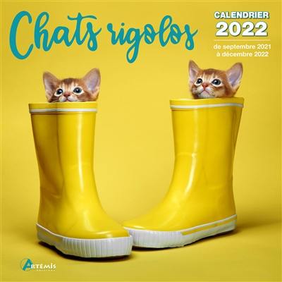 Chats rigolos : calendrier 2022 : de septembre 2021 à décembre 2022