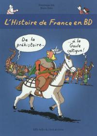 L'histoire de France en BD. Vol. 1. De la préhistoire à la Gaule celtique !