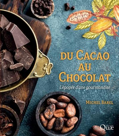 Du cacao au chocolat : l'épopée d'une gourmandise