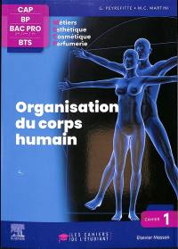 Organisation du corps humain : CAP, BP, bac pro 2de, 1re, terminale, BTS métiers esthétique, cosmétique, parfumerie