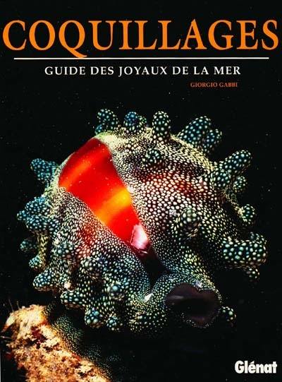 Les coquillages : le guide des joyaux de la mer