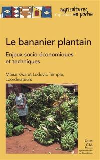 Le bananier plantain : enjeux socio-économiques et techniques, expériences en Afrique intertropicale