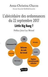 L'abécédaire des ordonnances du 22 septembre 2017 : little big bang ?