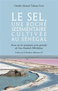 Le sel, une roche sédimentaire cultivée au Sénégal : focus sur les mutations socio-spatiales de l'axe Kaolack-Mbirkilane