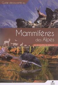 Mammifères des Alpes : les reconnaître, les observer