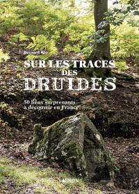 Sur la trace des druides : 50 lieux surprenants à découvrir en France