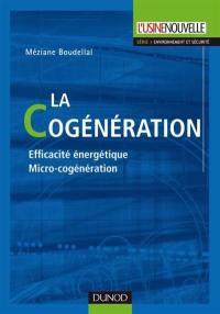 La cogénération : efficacité énergétique, micro-cogénération