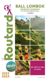 Bali, Lombok : Borobudur, Prambanan et les volcans de Java + plongées : 2023-2024