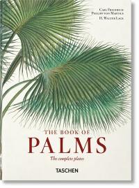 The book of palms : the complete plates. Das Buch der Palmen. Le livre des palmiers