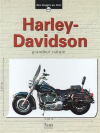 Harley Davidson grandeur nature