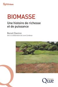 Biomasse : une histoire de richesse et de puissance