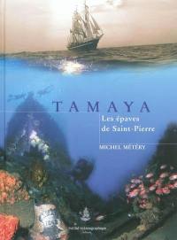 Tamaya : les épaves de Saint-Pierre