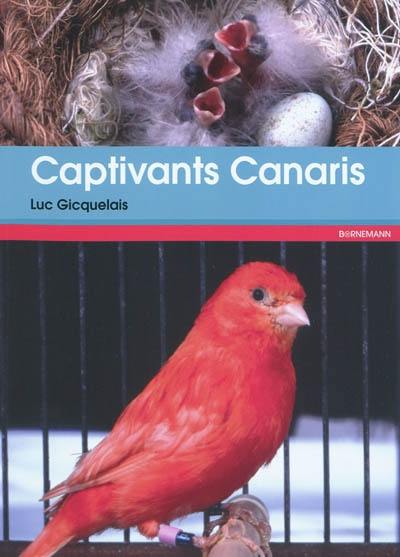 Captivants canaris : canaris de couleurs, de chants, de posture et frisés : pratique d'élevage