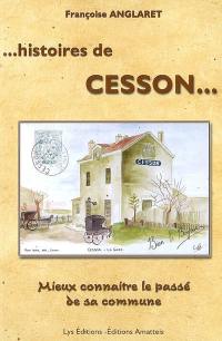 Histoires de Cesson... : mieux connaître le passé de sa commune