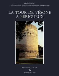 La Tour de Vésone à Périgueux