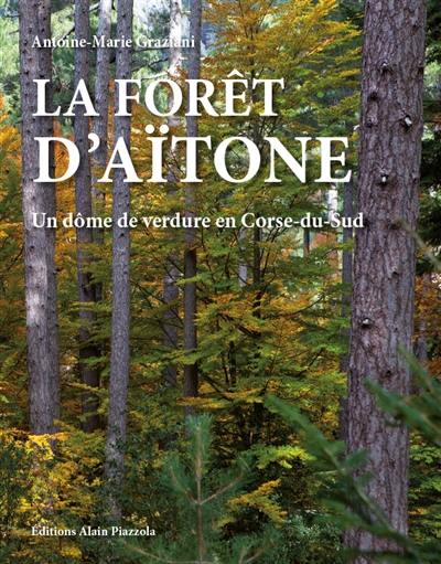 La forêt d'Aïtone : un dôme de verdure en Corse-du-Sud