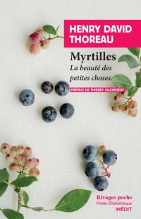 Myrtilles : la beauté des petites choses