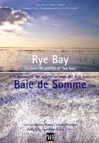 Rye bay : discover the wildlife of two bays. Baie de Somme : à la découverte des milieux naturels des deux baies