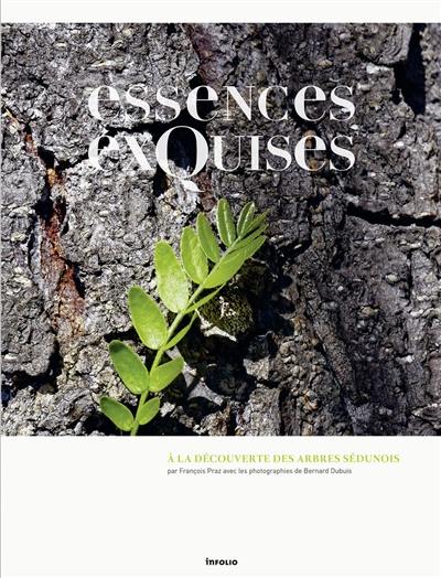 Essences exquises : à la découverte des arbres sédunois