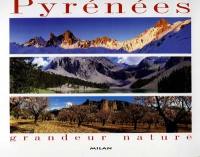Pyrénées, grandeur nature